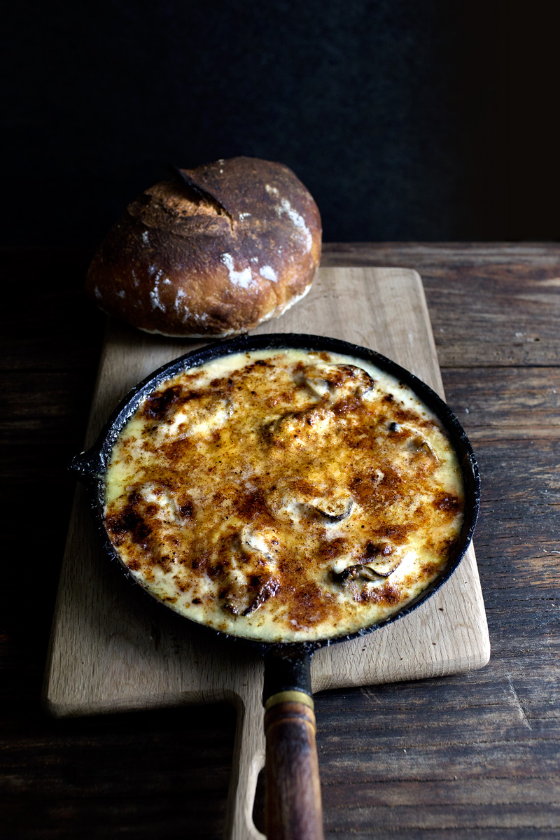 Three Cheese Oyster Gratin | Lady and Pups | Drool Worthy Thanksgiving Side Dishes